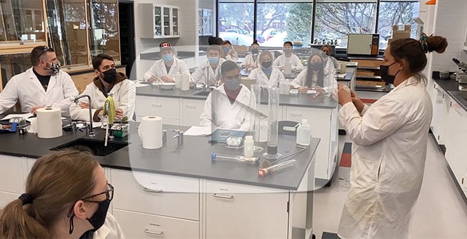 LINK-jan-26-2022-banner