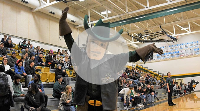 2022-link-december0rowdy