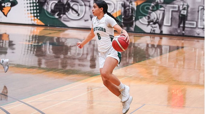 2024-link-basketball